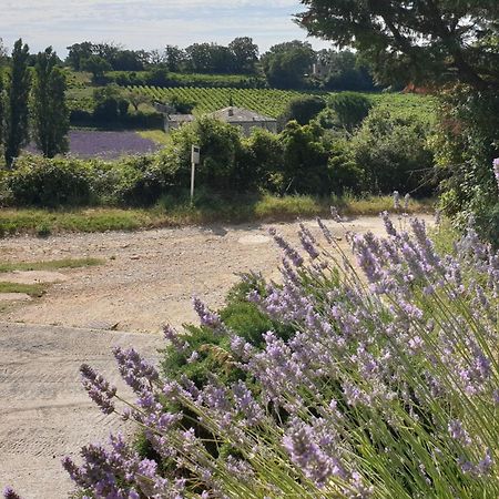 Le Clos Du Grand Chene - Gites 4 Etoiles - Saint-Marcel-d'Ardeche Экстерьер фото