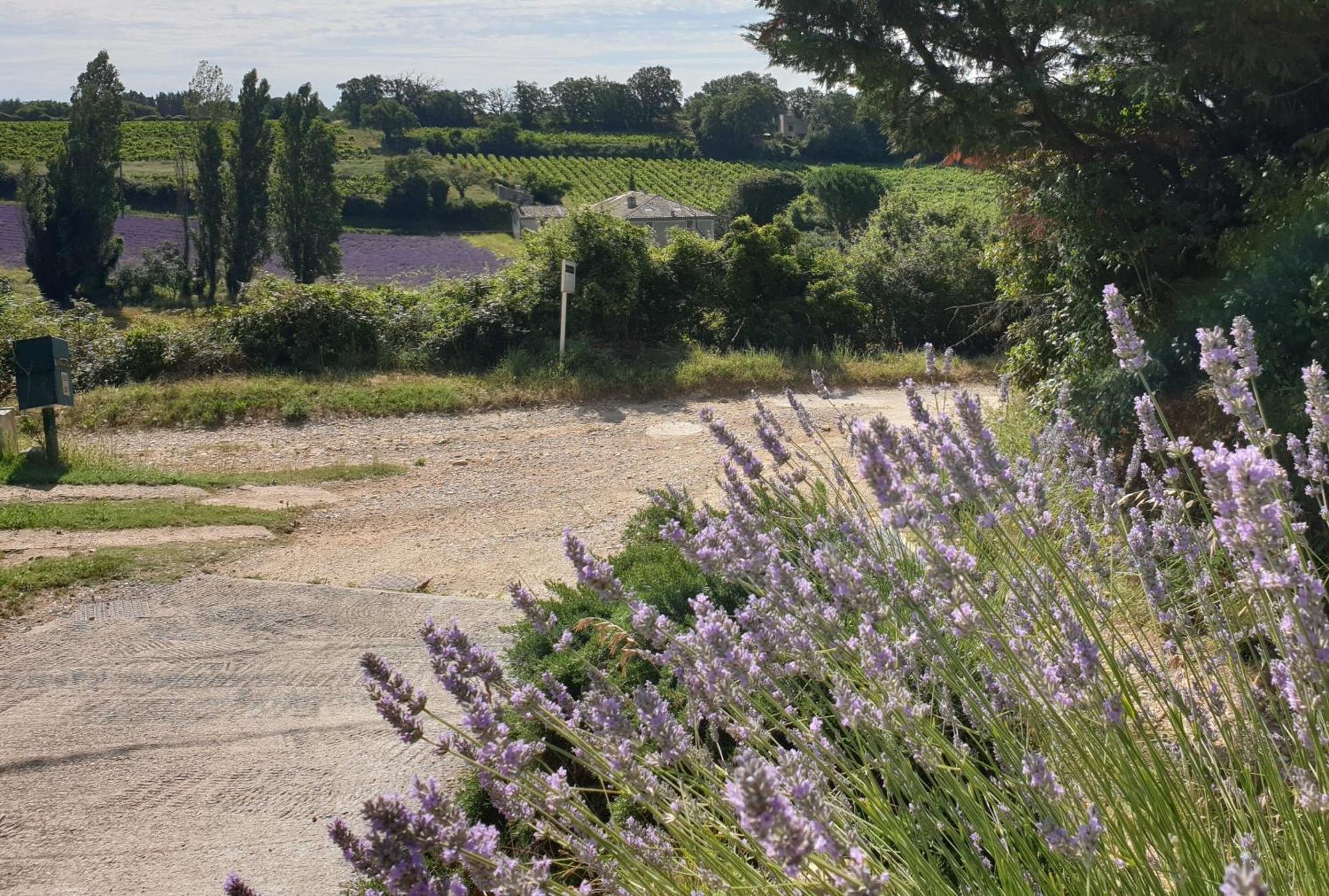 Le Clos Du Grand Chene - Gites 4 Etoiles - Saint-Marcel-d'Ardeche Экстерьер фото